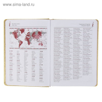 Ежедневник недатированный А5+, 136 листов Sidney Nebraska, твёрдая обложка, искусственная кожа, золотой срез, золото Ежедневник недатированный А5+, 136 листов Sidney Nebraska, твёрдая обложка, искусственная кожа, золотой срез, золото