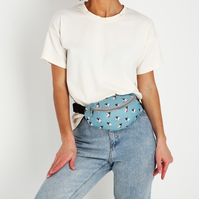 Поясная сумка на молнии, цвет голубой Поясная сумка на молнии, цвет голубой