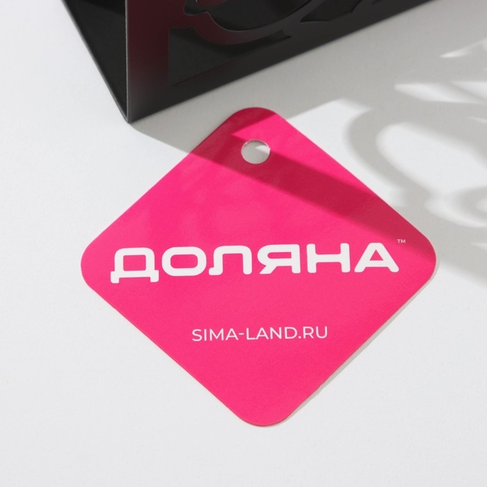 Салфетница Доляна «Цветы», 15×4×10 см, цвет чёрный Салфетница Доляна «Цветы», 15×4×10 см, цвет чёрный