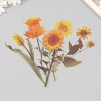 Наклейки пластик "Цветы и цитаты. Желтые" набор 12 шт 8,5х21,5х0,2 см Наклейки пластик "Цветы и цитаты. Желтые" набор 12 шт 8,5х21,5х0,2 см