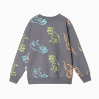 Свитшот для мальчиков, цвет графит/дино, рост 116 Свитшот для мальчиков, цвет графит/дино, рост 116