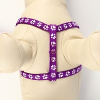 Комплект прошитый "Лапки", поводок 120 х 1 см, ОГ 23-35 см, фиолетовый