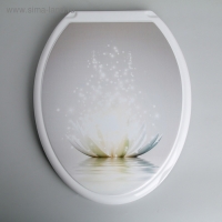 Сиденье для унитаза с крышкой Росспласт &laquo;Лотос&raquo;, 45 х 37 см, цвет белый