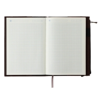 Ежедневник недатированный, обложка ПВХ, формат А5, 140 листов в клетку, на резинке, с карманами, МИКС Ежедневник недатированный, обложка ПВХ, формат А5, 140 листов в клетку, на резинке, с карманами, МИКС