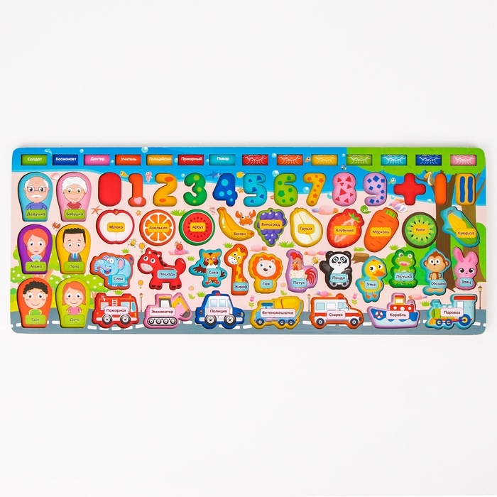 Большой развивающий набор для детей &laquo;Сортер. Окружающий мир и счёт&raquo;