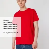 Футболка Regent 150 красная, размер 4XL