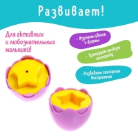 Сортер &laquo;Яички&raquo;, набор 6 шт.