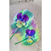 Пастель масляная, 50 цветов, Pentel, 8/60мм, в картоне Пастель масляная, 50 цветов, Pentel, 8/60мм, в картоне