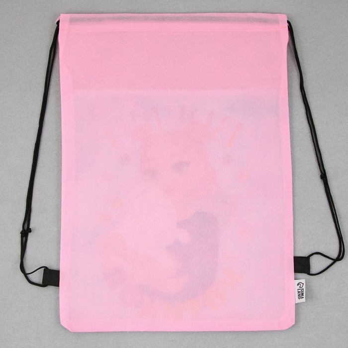 Мешок для обуви &laquo;Время котиков&raquo; нетканное полотно, размер 30 х 40 см