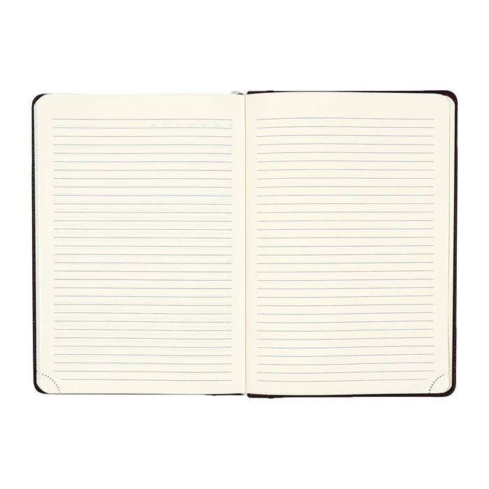 Ежедневник недатированный, твердая обложка кожзам с поролоном, термо тиснение, перфорация, ляссе, кремовый блок 70 г/м2, коричневый