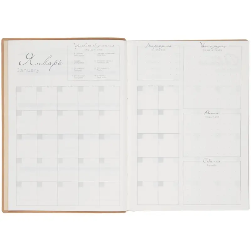 Ежедневник Anaconda, недатированный, золотистый