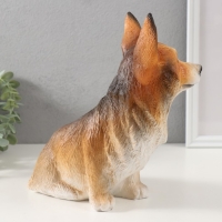 Копилка "Щенок Корги" 23 х 11 х 24 см. Копилка "Щенок Корги" 23 х 11 х 24 см.