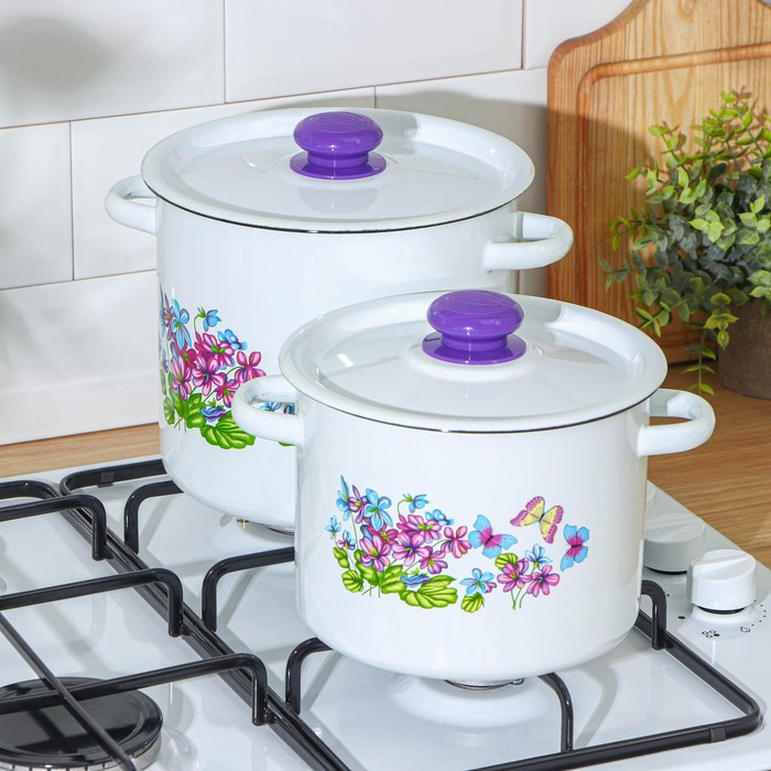 Набор кастрюль &laquo;Фиалка&raquo;, 2 предмета: 3.5 л, 5.5 л, индукция, цвет МИКС