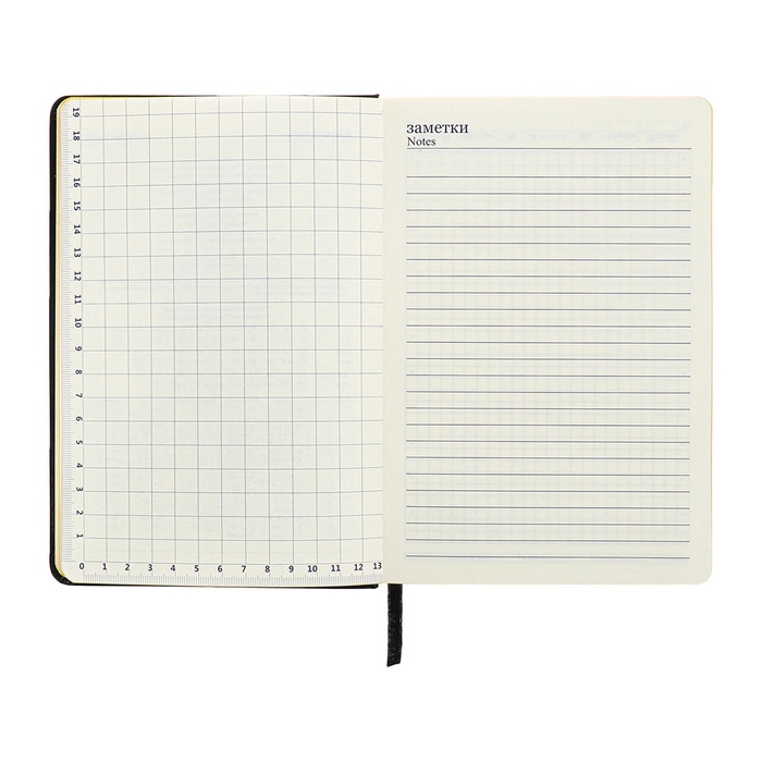 Ежедневник недатированный A5, 140л, клетка, кожзам, на резинке, желтый срез, Черный