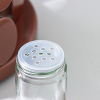 Набор для специй из стекла на подставке &laquo;Профи&raquo;, 100 мл, 19&times;20 см, 12 шт, цвет бронзовый