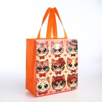 Сумка детская без застёжки, цвет оранжевый Сумка детская без застёжки, цвет оранжевый