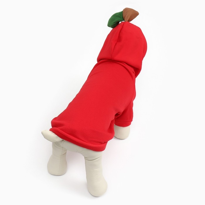 Толстовка "Яблочко", размер L (ДС 35, ОГ 50 см)