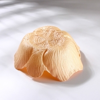 Блюдо сервировочное &laquo;Розовый Лотос&raquo;, d=16 см