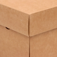 Коробка складная, крышка-дно, крафт, 25 х 25 х 12 см