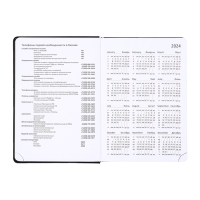 Ежедневник датированный 2025 года, deVENTE. Flag, B5 168 листов, deVENTE. Duo, твердая обложка кожзам с поролоном, шелкография, перфорация, ляссе, блок 70 г/м2