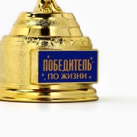 Кубок наградная фигура &laquo;Победитель по жизни&raquo;, оскар, пластик, 18 х 6,3 см.