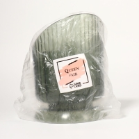 Подставка для хранения маникюрных/косметических принадлежностей &laquo;GREEN&raquo;, 3 секции, 16 &times; 11,5 &times; 11,5 см, цвет полупрозрачный/зелёный