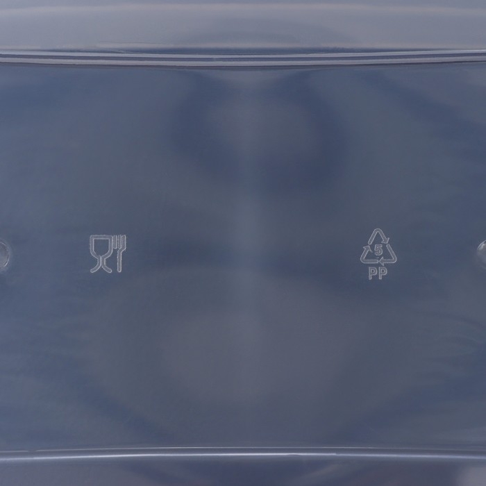 Контейнер для хранения с крышкой, 4 л, 29&times;19&times;13 см, цвет салатовый