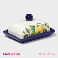 Маслёнка Доляна &laquo;Лимон&raquo;, 17&times;12&times;8,5 см, цвет белый