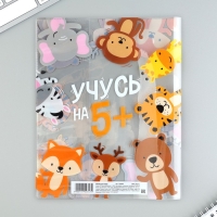Обложка для тетрадей и школьного дневника &laquo;Учусь на 5&raquo;, 34,7 х 21,1 см