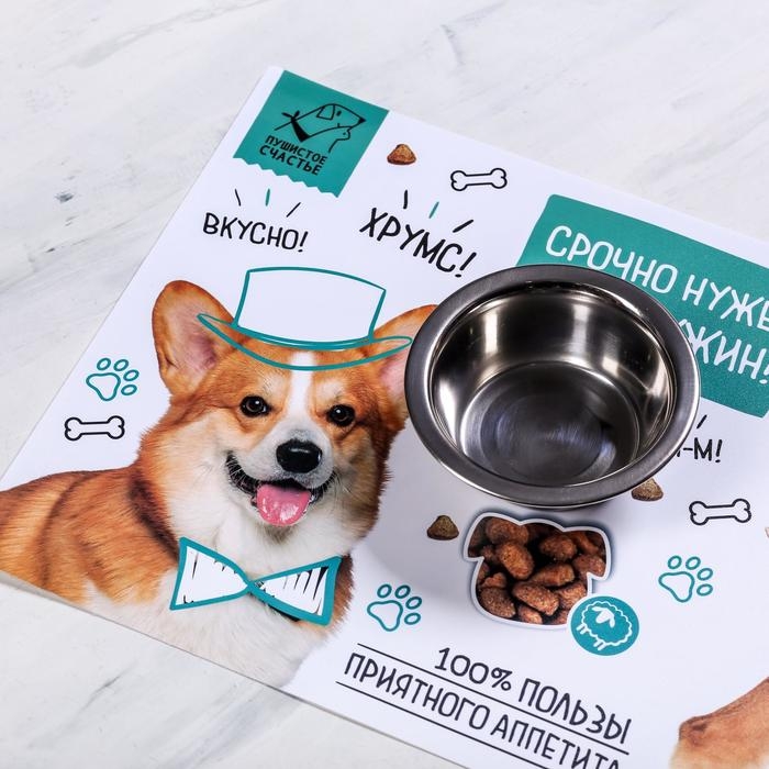 Коврик под миску &laquo;Срочно нужен обед и ужин&raquo; 43х28 см