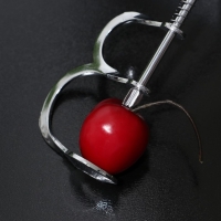 Удалитель косточек Доляна «Любитель», 12,5 см, цвет серебряный Удалитель косточек Доляна «Любитель», 12,5 см, цвет серебряный