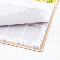 Планер с отрывными листами, 50 л. 17х9см «С 8 Марта тюльпаны» Планер с отрывными листами, 50 л. 17х9см «С 8 Марта тюльпаны»