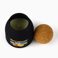 Свеча новогодняя, аромат пряный цитрус , 9 х 6,5 см Свеча новогодняя, аромат пряный цитрус , 9 х 6,5 см