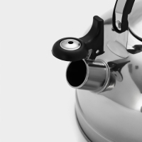 Чайник со свистком из нержавеющей стали &laquo;Семейный&raquo;, 2,8 л