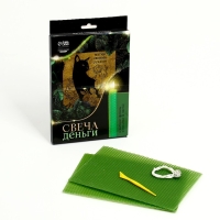 Свеча своими руками. Набор для создания магической свечки из вощины &laquo;Привлечения денег&raquo;