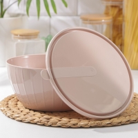 Салатник с крышкой «Fiesta», 2,8 л, цвет МИКС Салатник с крышкой «Fiesta», 2,8 л, цвет МИКС