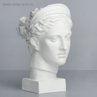 Гипсовая фигура Голова Дианы, 20 х 34 х 37 см Гипсовая фигура Голова Дианы, 20 х 34 х 37 см