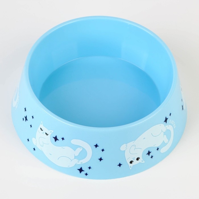 Миска пластиковая &laquo;Кот отдыхает&raquo;, голубая, 300 мл