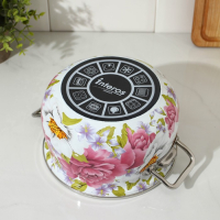 Кастрюля эмалированная «Пион», 3.1 л, индукция Кастрюля эмалированная «Пион», 3.1 л, индукция