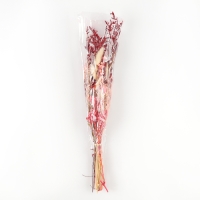 Букет из сухоцветов &laquo;Притяжение&raquo;, 52 &times; 12 &times; 8 см