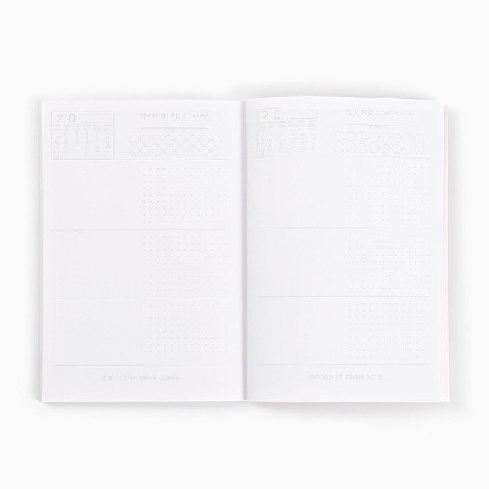 Новый год. Ежедневник-планинг «Мечтай в Новом году», А5, 80 л. Новый год. Ежедневник-планинг «Мечтай в Новом году», А5, 80 л.