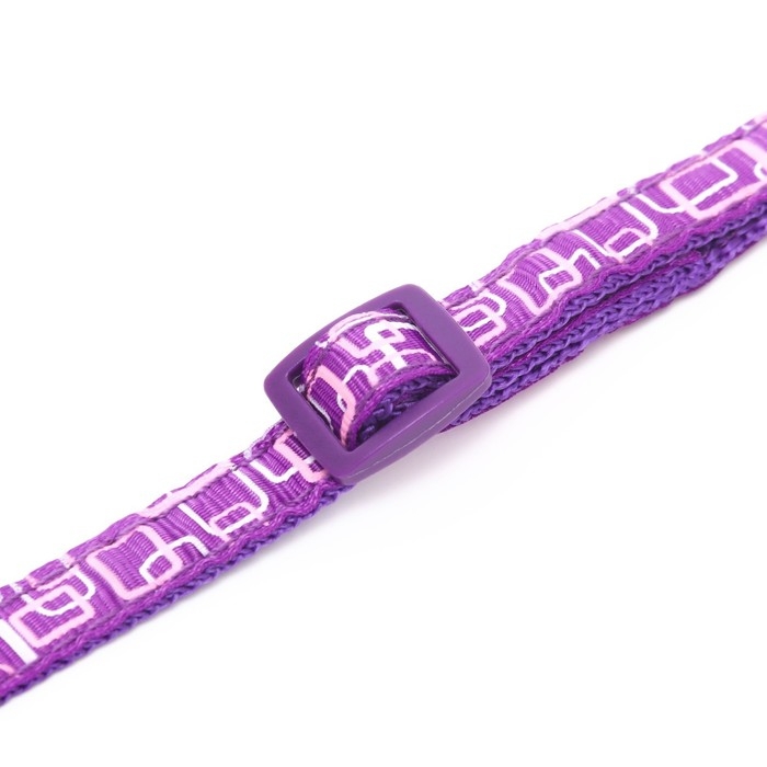 Ошейник двухслойный с фастексом Ошейник двухслойный с фастексом "Квадраты", 30 х 1 см, фиолетовый
