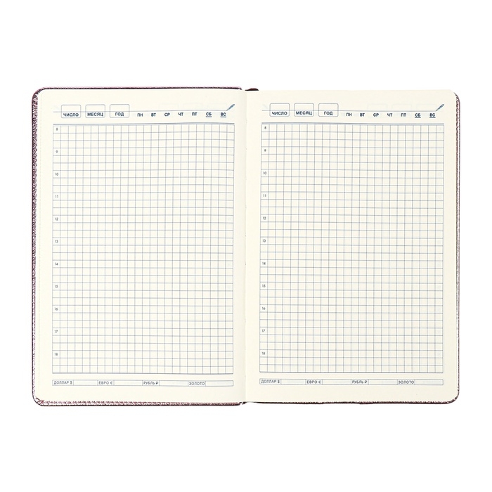 Ежедневник недатированный, обложка ПВХ, формат А5, 140 л, клетка, металлик Бронза