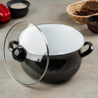 Кастрюля эмалированная &laquo;Металлик&raquo;, 5,1 л, стеклянная крышка, индукция, цвет чёрный