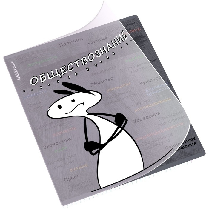 Тетрадь предметная ОБЩЕСТВОЗНАНИЕ, 48 листов в клетку, ErichKrause Тетрадь предметная ОБЩЕСТВОЗНАНИЕ, 48 листов в клетку, ErichKrause "Чубрик", пластиковая обложка, шелкография, блок офсет 100% белизна, инфо-блок