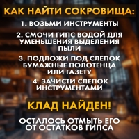 Набор для раскопок &laquo;Пиратские монеты&raquo;