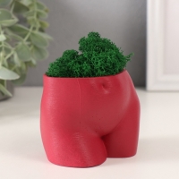 Кашпо бетонное "Невинный вид" высота 6,5см, ширина 8,5см винный со мхом (мох зелен. стабилиз 1041207 Кашпо бетонное "Невинный вид" высота 6,5см, ширина 8,5см винный со мхом (мох зелен. стабилиз 1041207