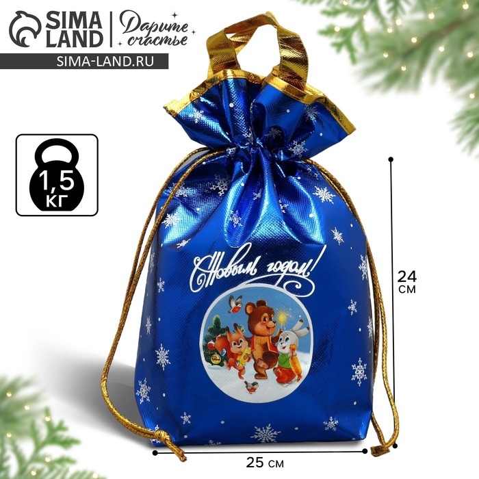 Пакет-мешок из нетканного материала &laquo;Новогодняя компания&raquo;, 25 х 32 см, Новый год