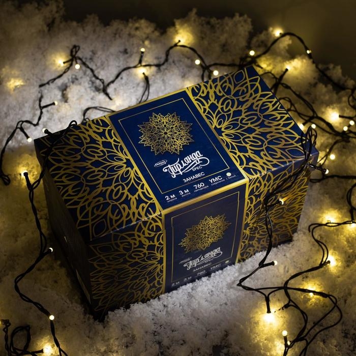 Гирлянда «Занавес» 2 × 3 м, IP44, УМС, тёмная нить, 760 SMD-LED, свечение тёплое белое, 220 В Гирлянда «Занавес» 2 × 3 м, IP44, УМС, тёмная нить, 760 SMD-LED, свечение тёплое белое, 220 В