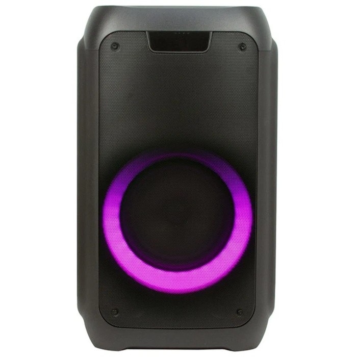 Портативная караоке система ELTRONIC DANCE BOX 300 (20-01), 30 Вт, TWS, AUX, USB,BT,черная